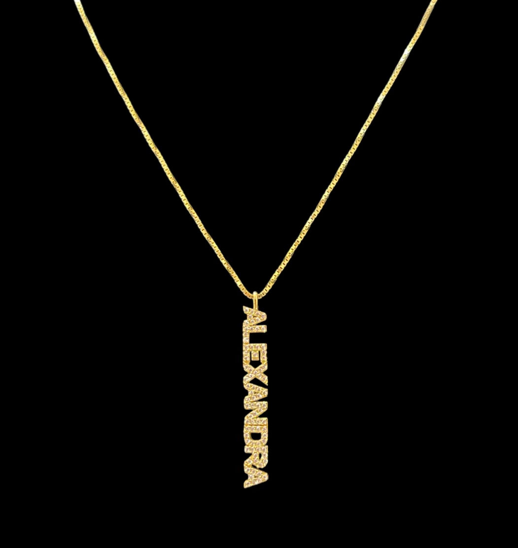 The Charm Name Plate Necklace
