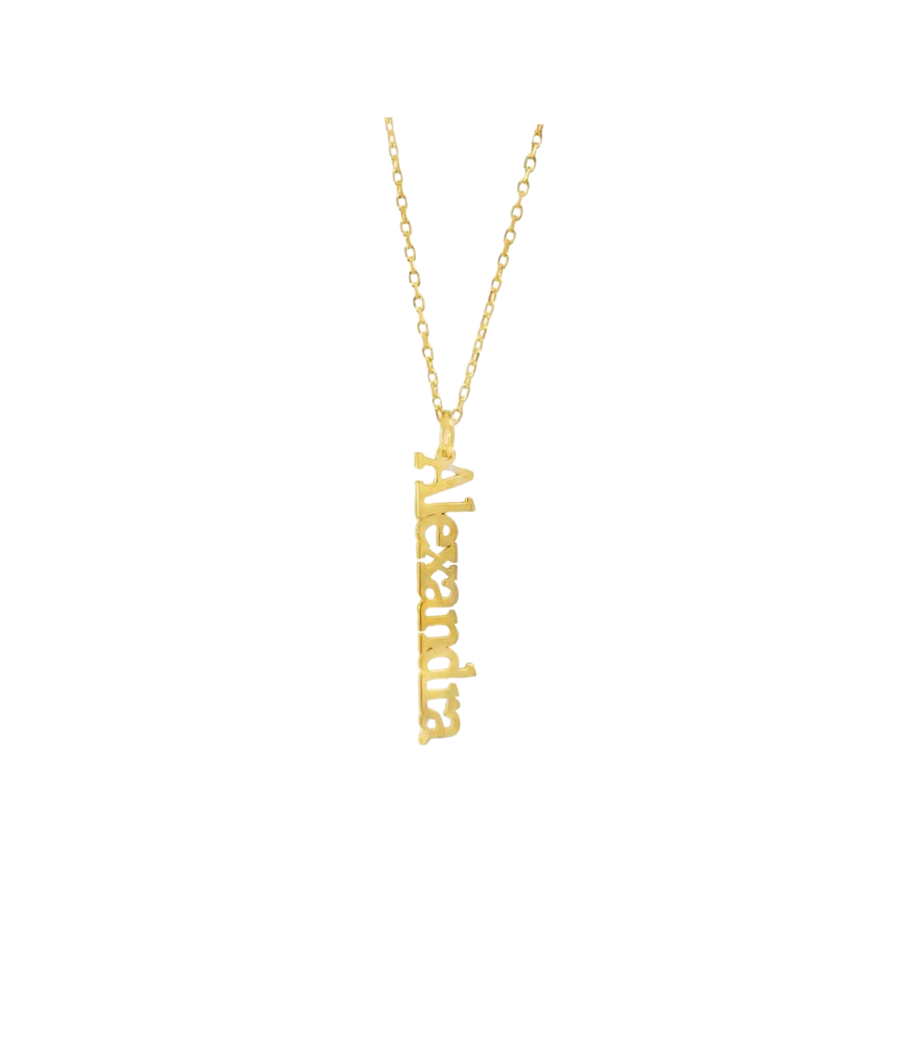 The Charm Name Plate Necklace