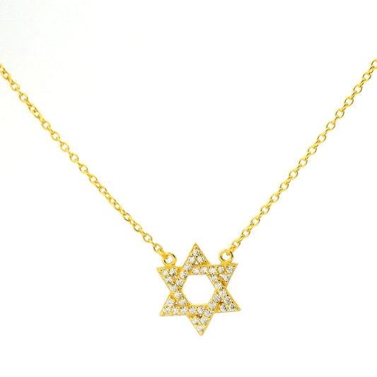 Mini Star Of David Necklace